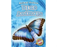 Blue_Animals